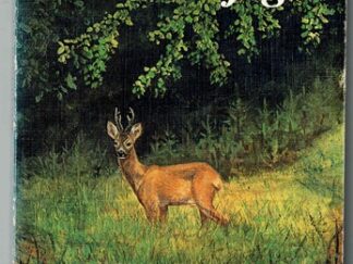 På bukkejagt - Lasse Sørensen