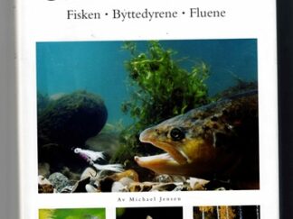 Under overflaten - Michael Jensen (Norsk)